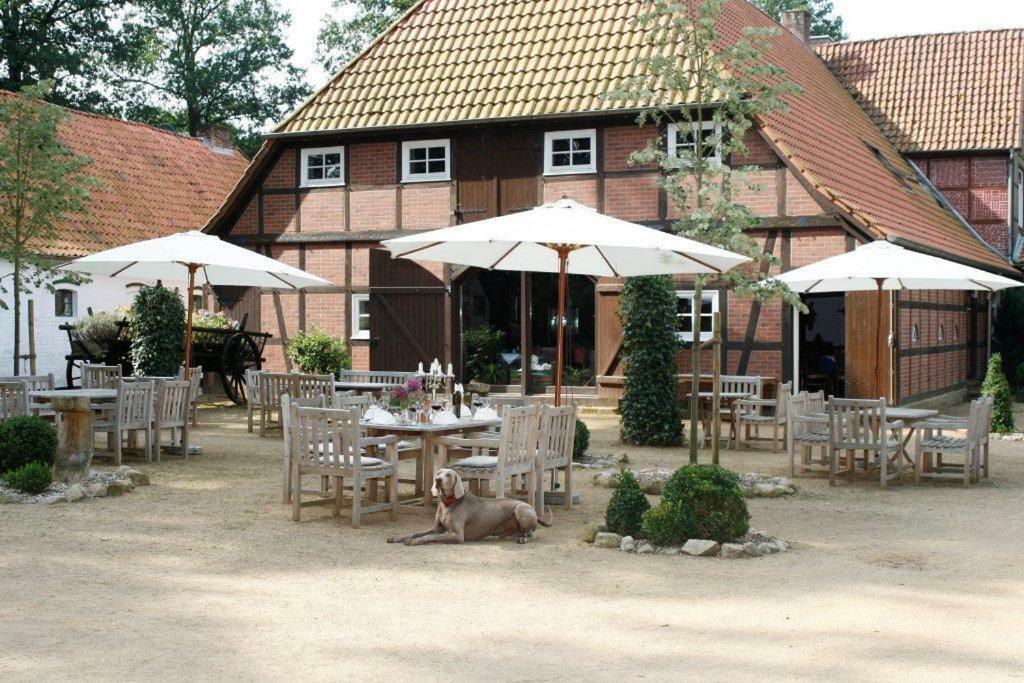 Eggershof Apartment Soltau Exterior foto